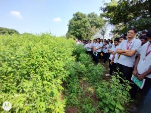 Field visit